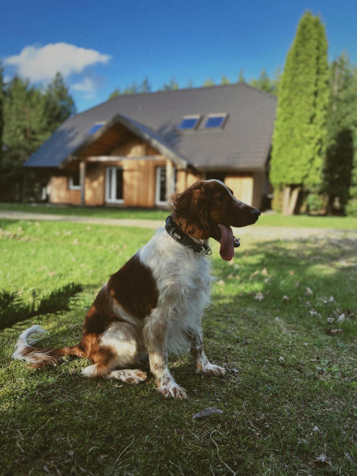 Pakaso Sodyba Kirdeikiai Bagian luar foto